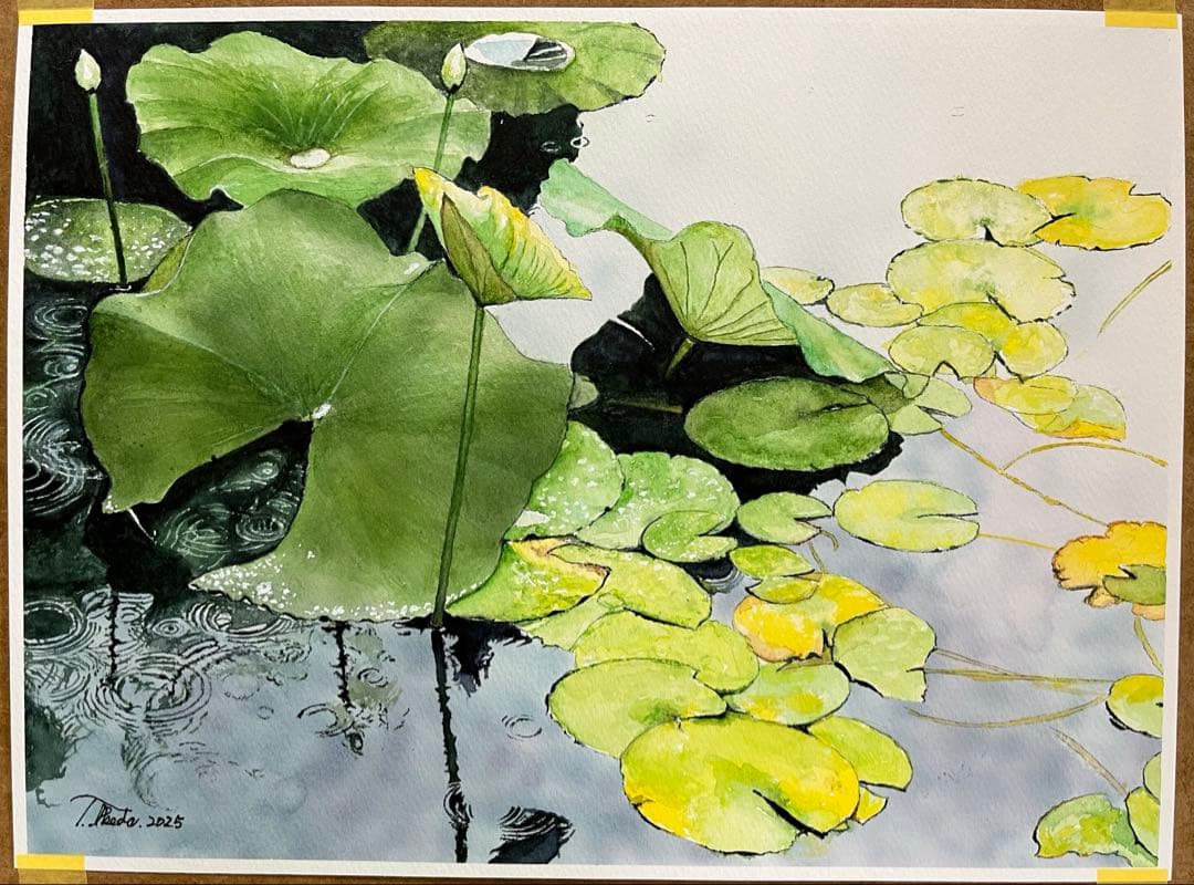 ワインと野菜 No.231 No.232 No.233原画F4