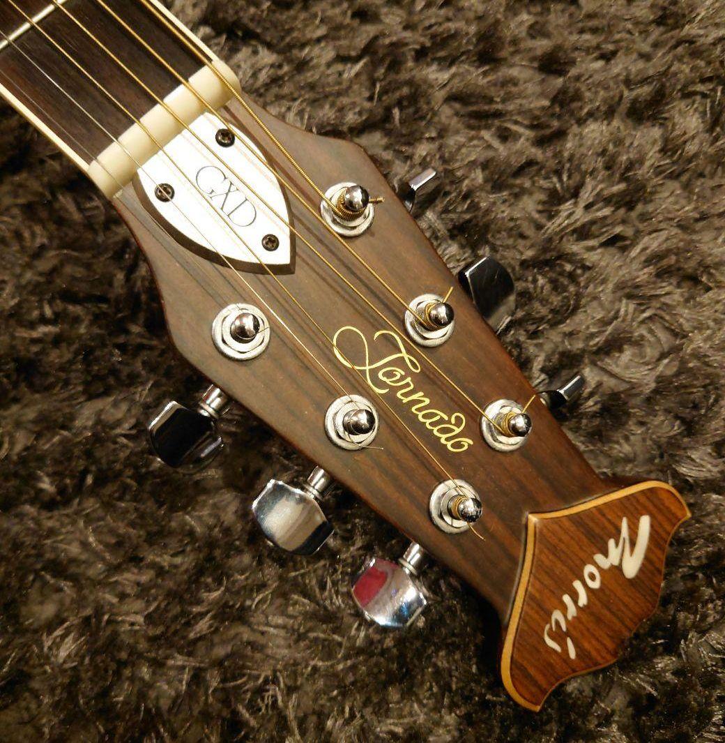 ★美品★　ジャパンヴィンテージ　Morris GXD 　エレアコ