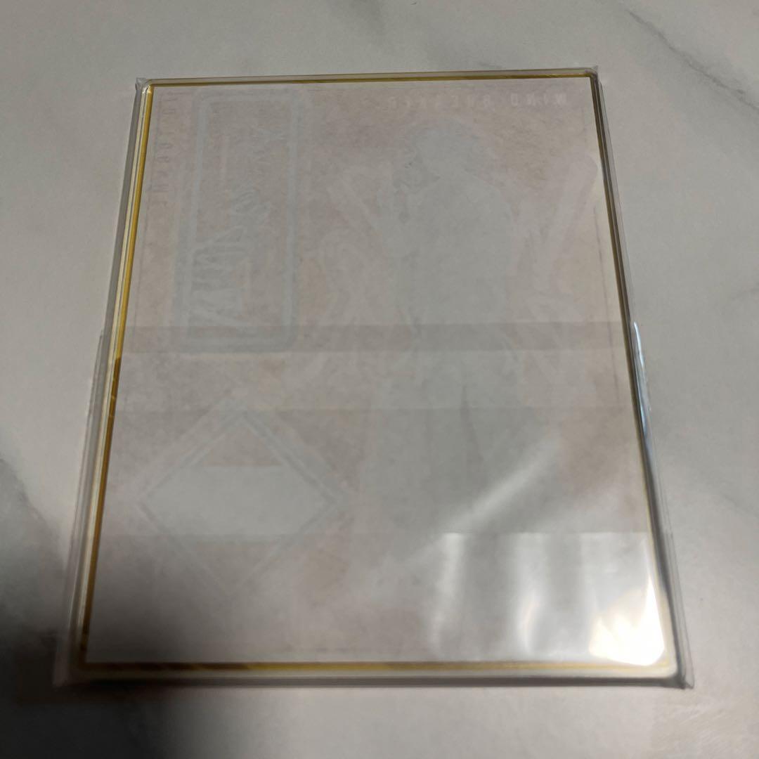 ウィンブレ WIND BREAKER アクリルスタンド 原作 十亀