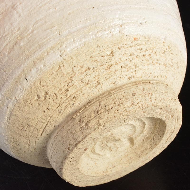 茶道具　人間国宝　田村耕一造　白釉茶碗　共箱　M　R6890