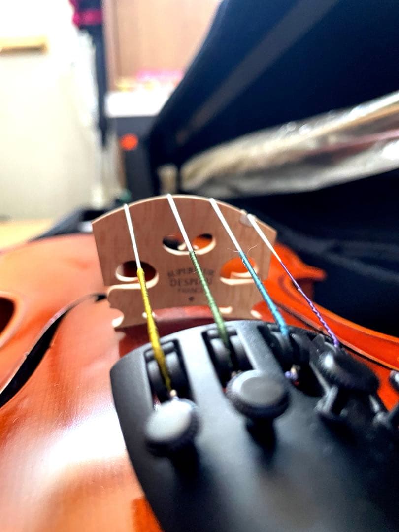 【ケース付属品付き】Eastmanバイオリン