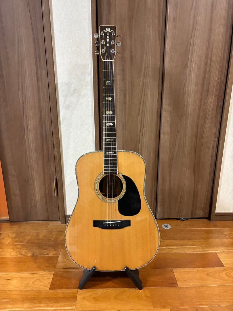 Morris W-50 アコースティックギター