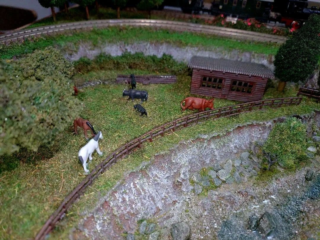 追加制作致しました!❗新品、鉄道模型✨丁寧制作、HG仕上げ‼️山岳✨スイス❗️