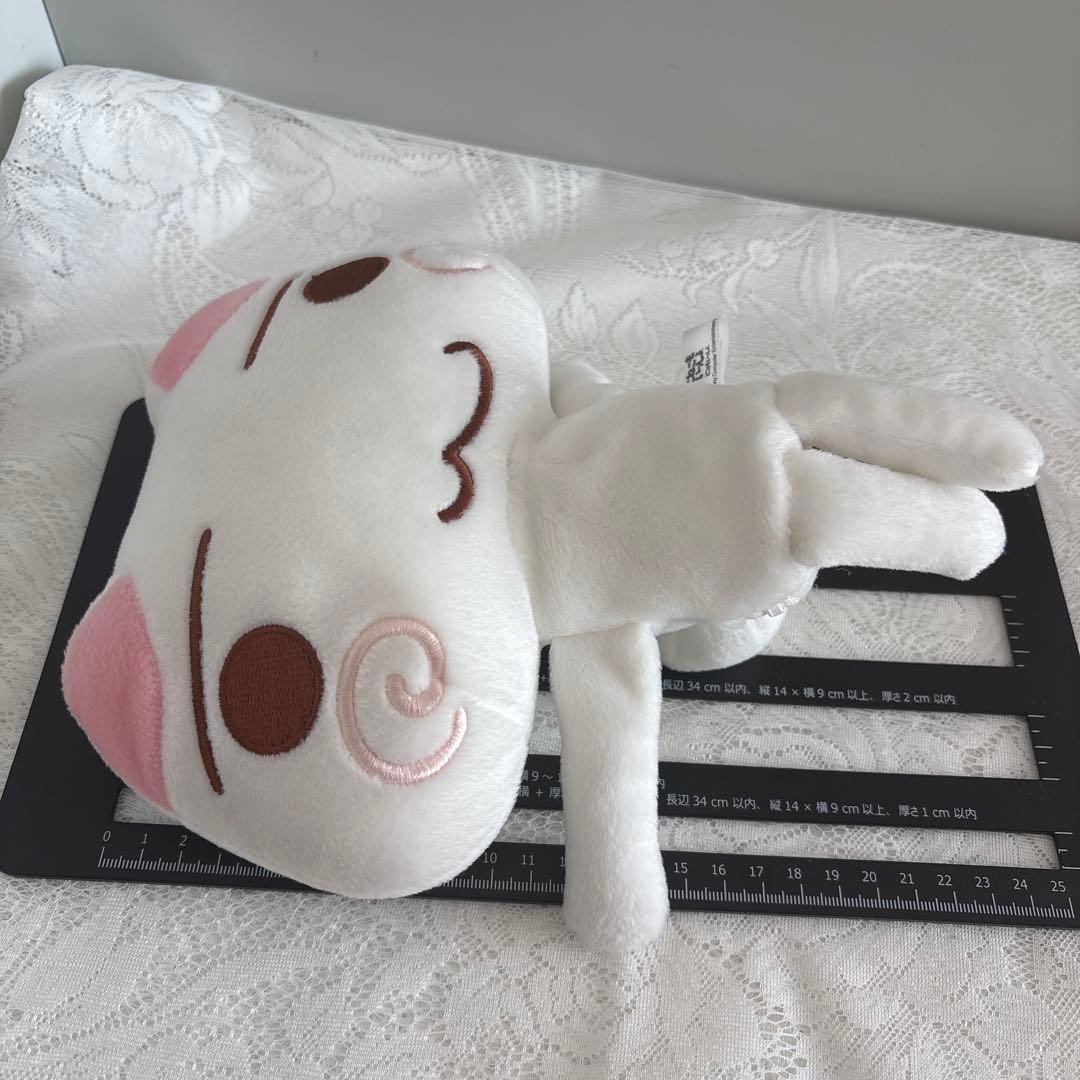 【匿名配送】どこでもいっしょ　ぬいぐるみ　こねこもいっしょ　トロ