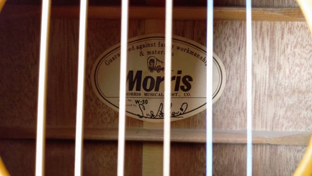 Morris W-30 モーリス アコースティックギター