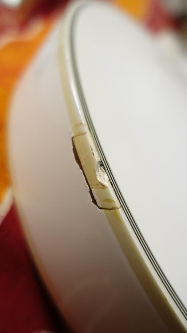 ギター Navigator N-LP-CTM Alpine White