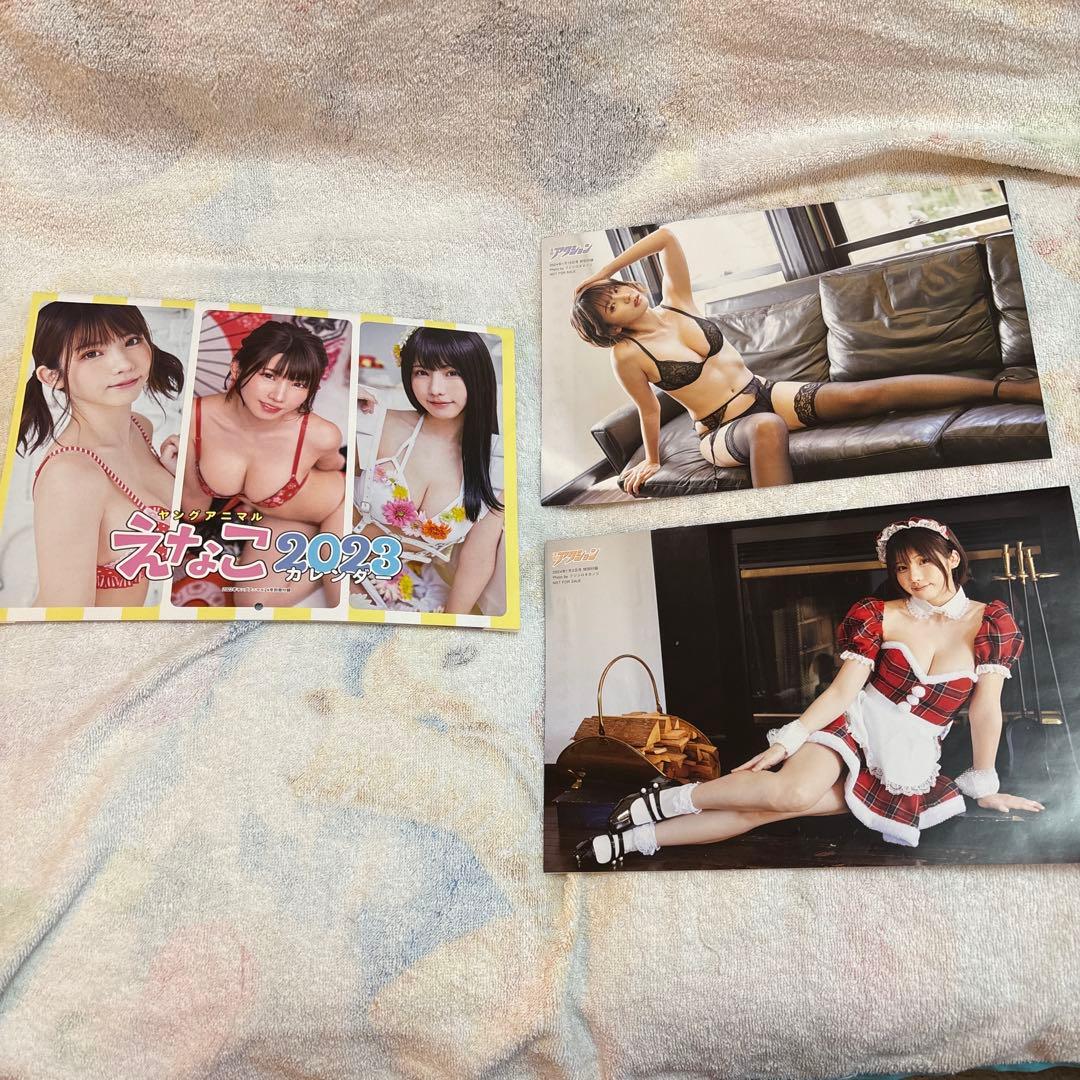 えなこ 大判ポスター、過去カレンダー等セット