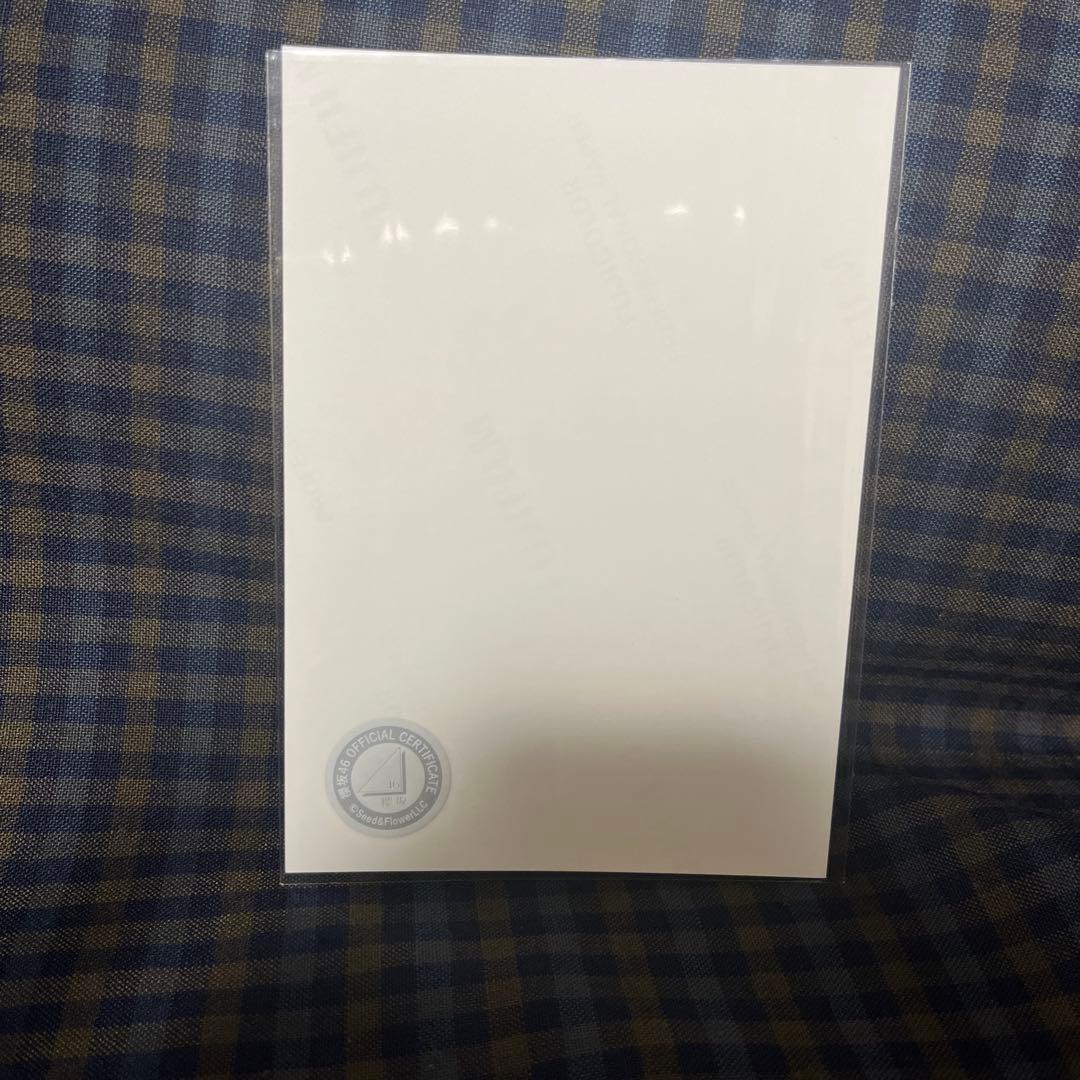 櫻坂46 守屋麗奈 直筆サイン入り生写真 クリスマスサンタ衣装2024