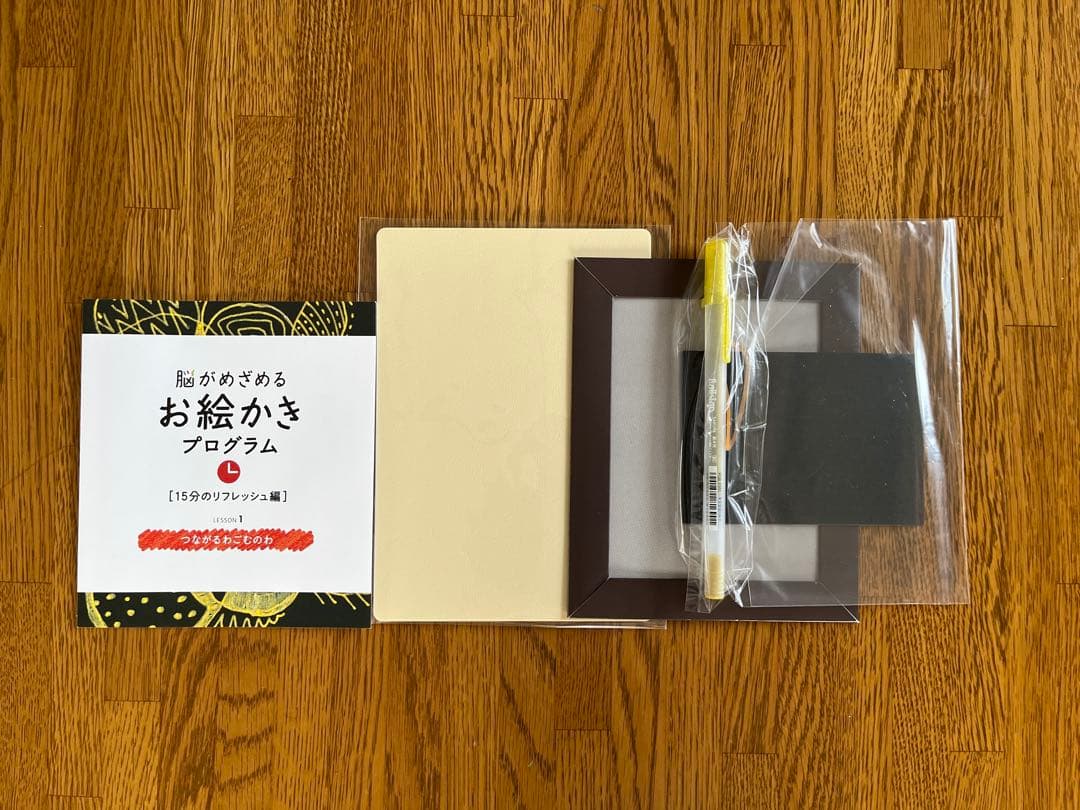 フェリシモ　脳がめざめるお絵かきプログラム［15分のリフレッシュ編］12回セット