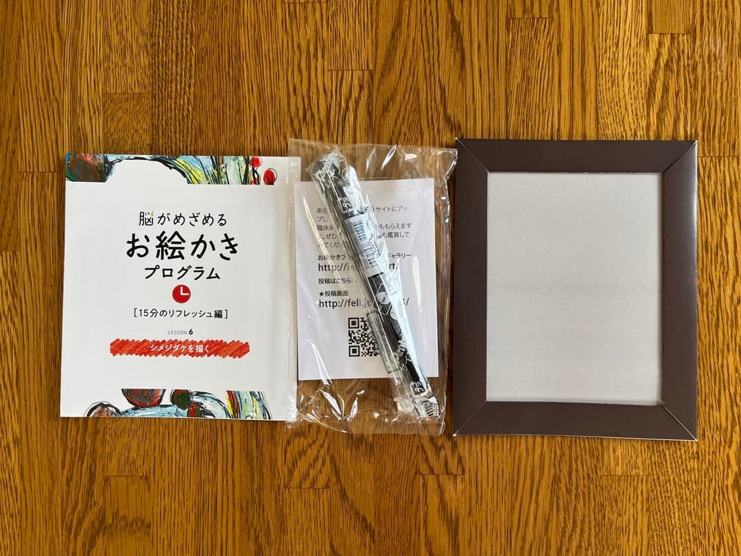 フェリシモ　脳がめざめるお絵かきプログラム［15分のリフレッシュ編］12回セット