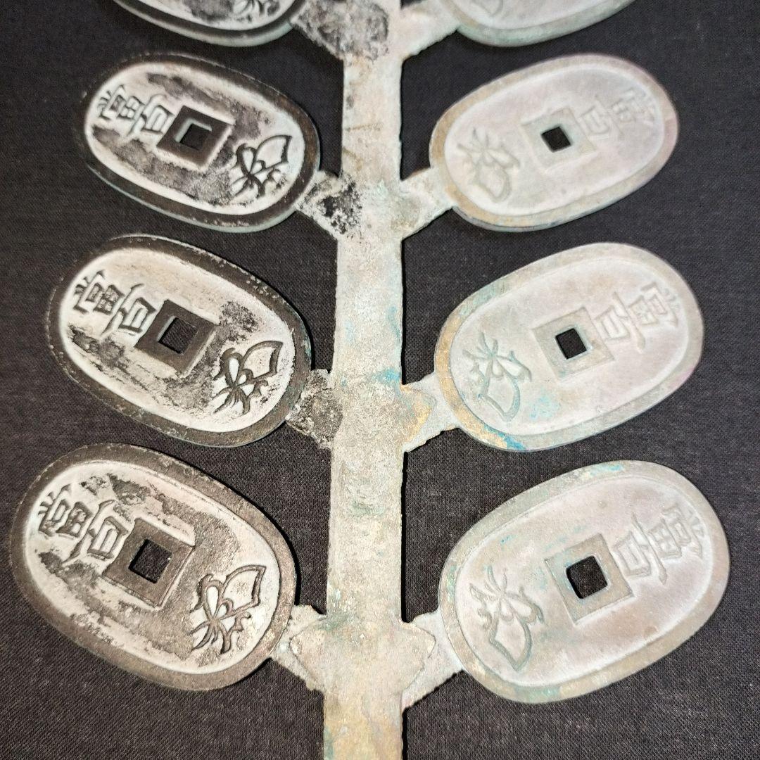 天保通宝 枝銭 15枚付き 天保銭 天保通寶