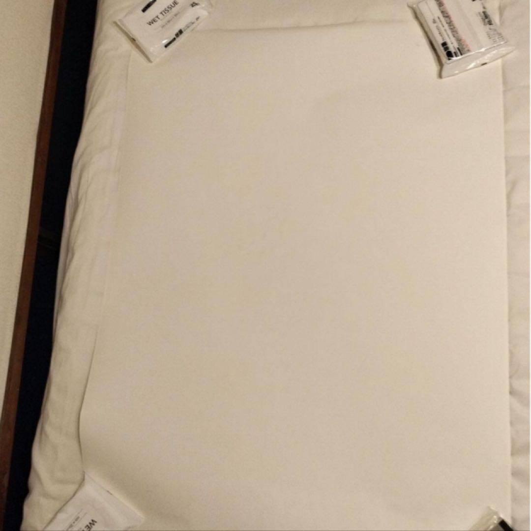 NO FUTURE A SEX PISTOLS FILM　ピストルズ　ポスター