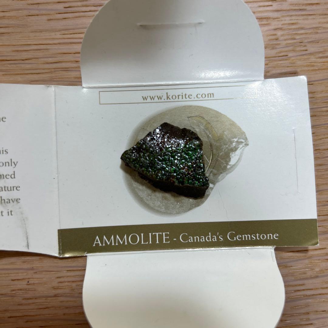 KORITE  アンモライト原石片