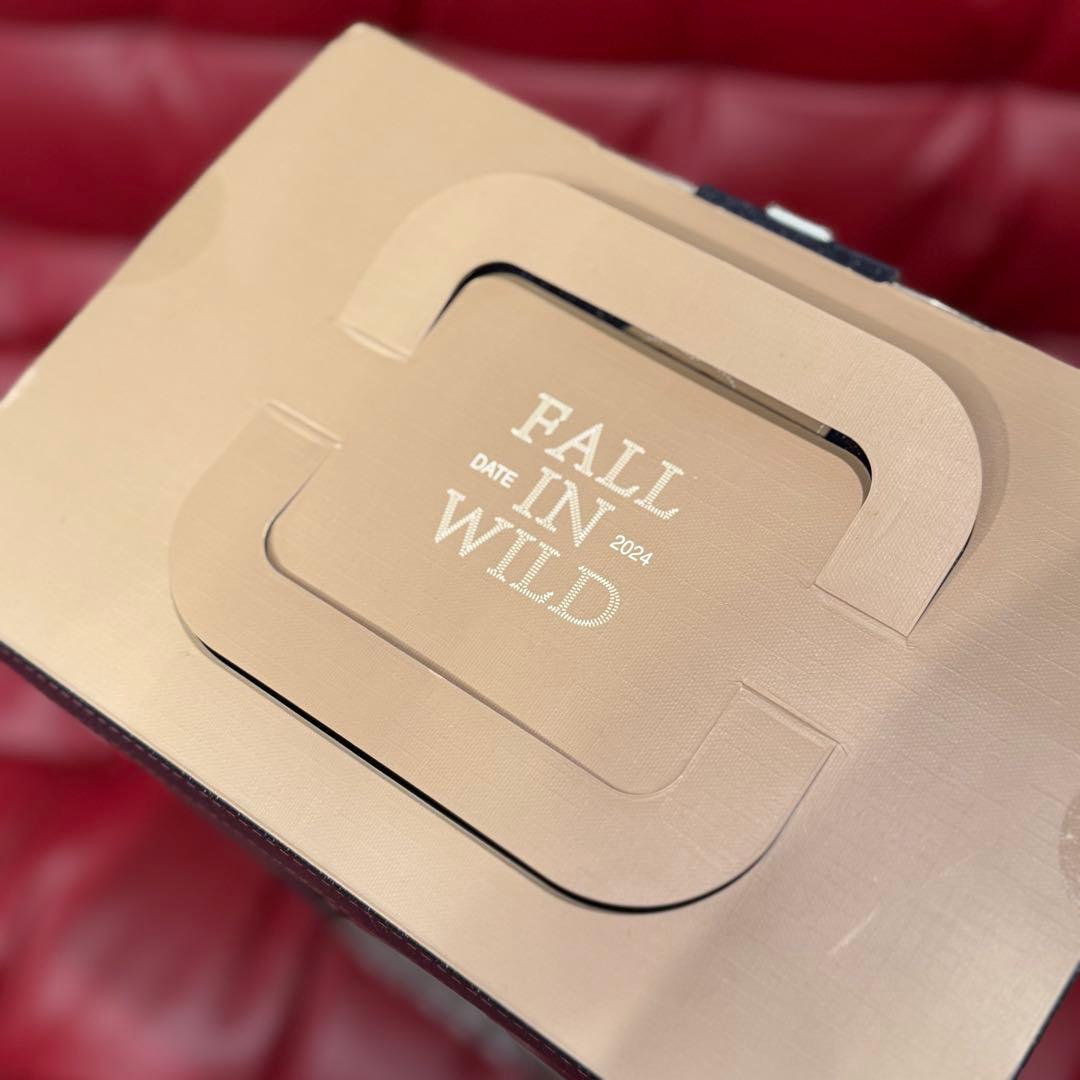 POP MART THE MONSTERS FALL IN WILD フィギュア