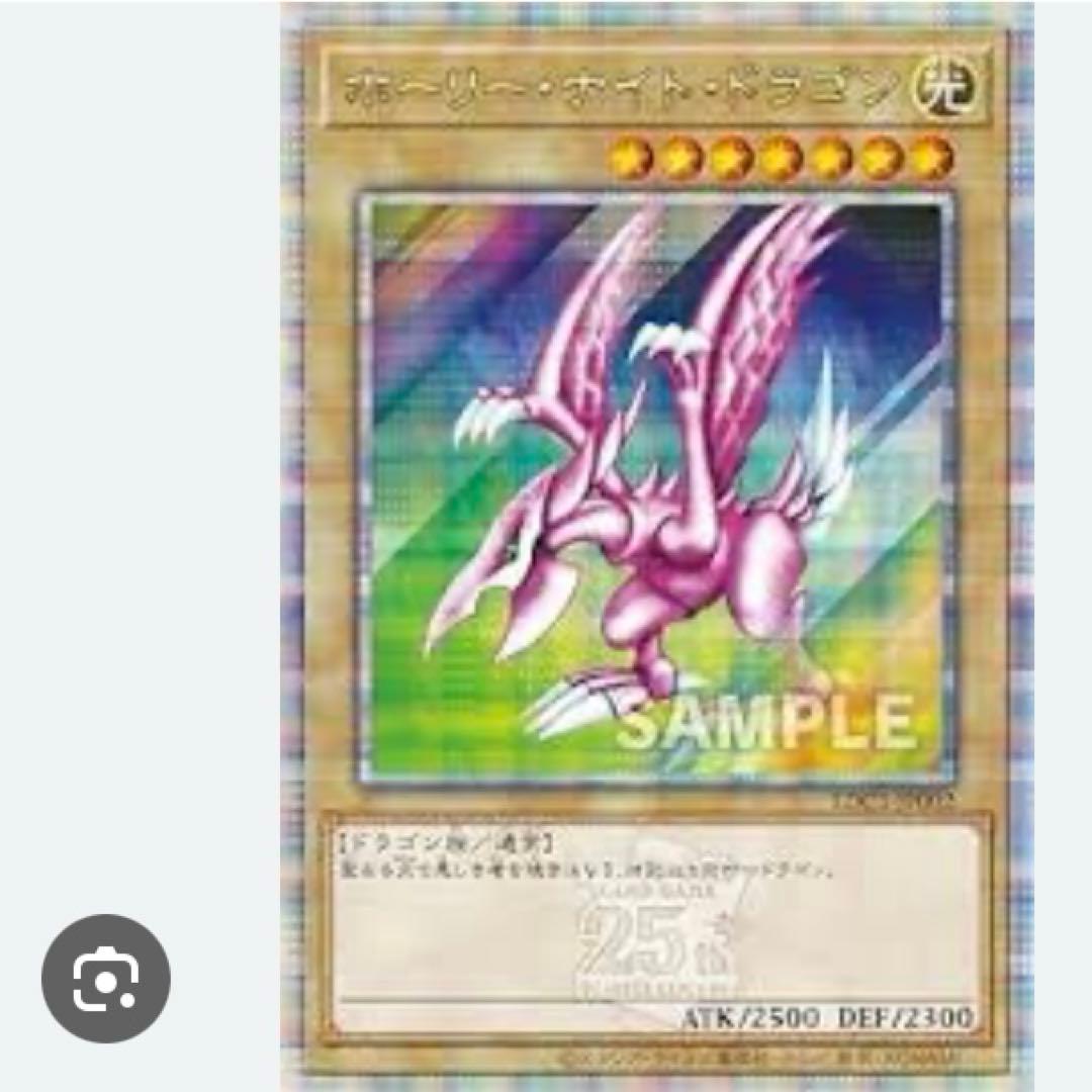 遊戯王　WCS、東京ドーム　封筒、ゲーム