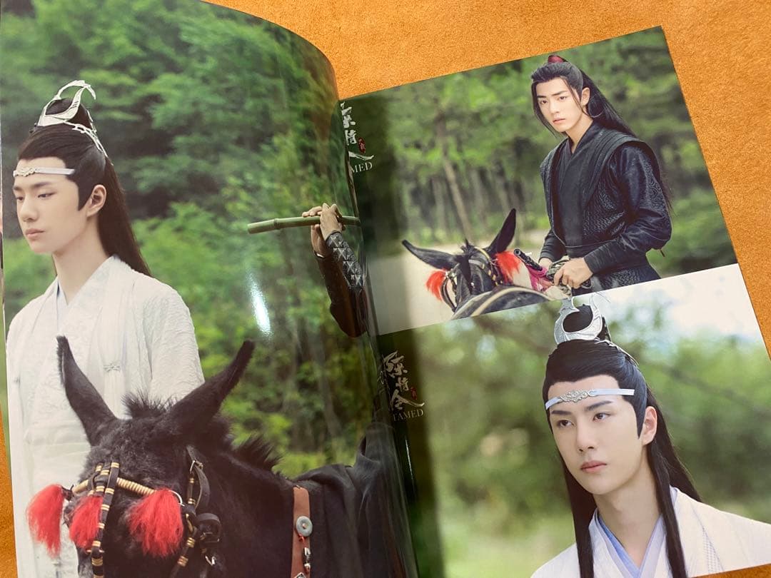 陳情令　博君一肖 王一博肖戦「夏の記憶」写真集