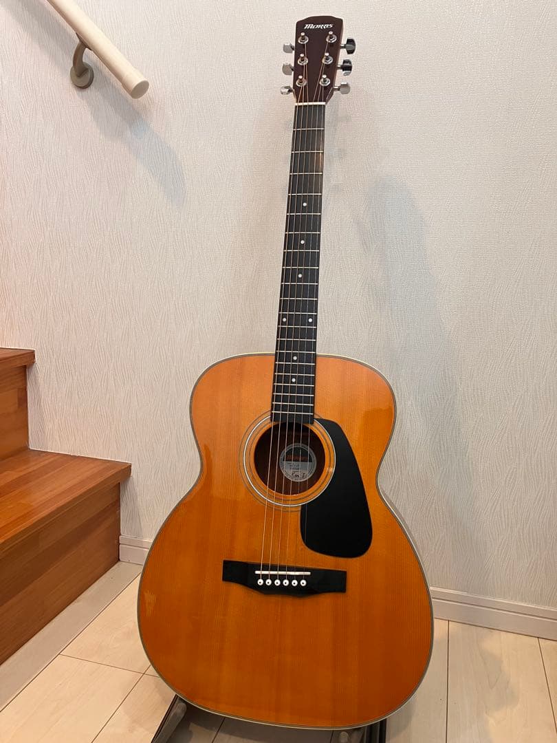 Morris MF-Y VYL アコースティックギター 中古