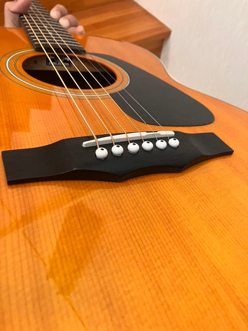 Morris MF-Y VYL アコースティックギター 中古