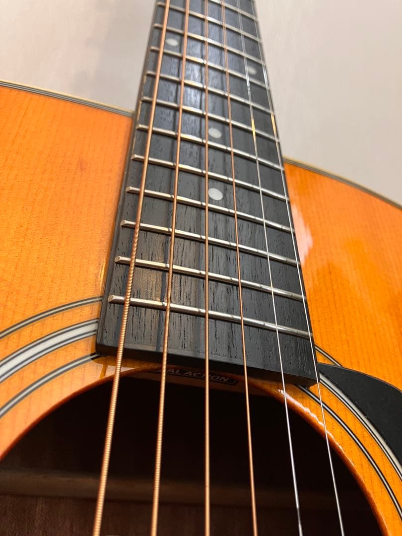 Morris MF-Y VYL アコースティックギター 中古