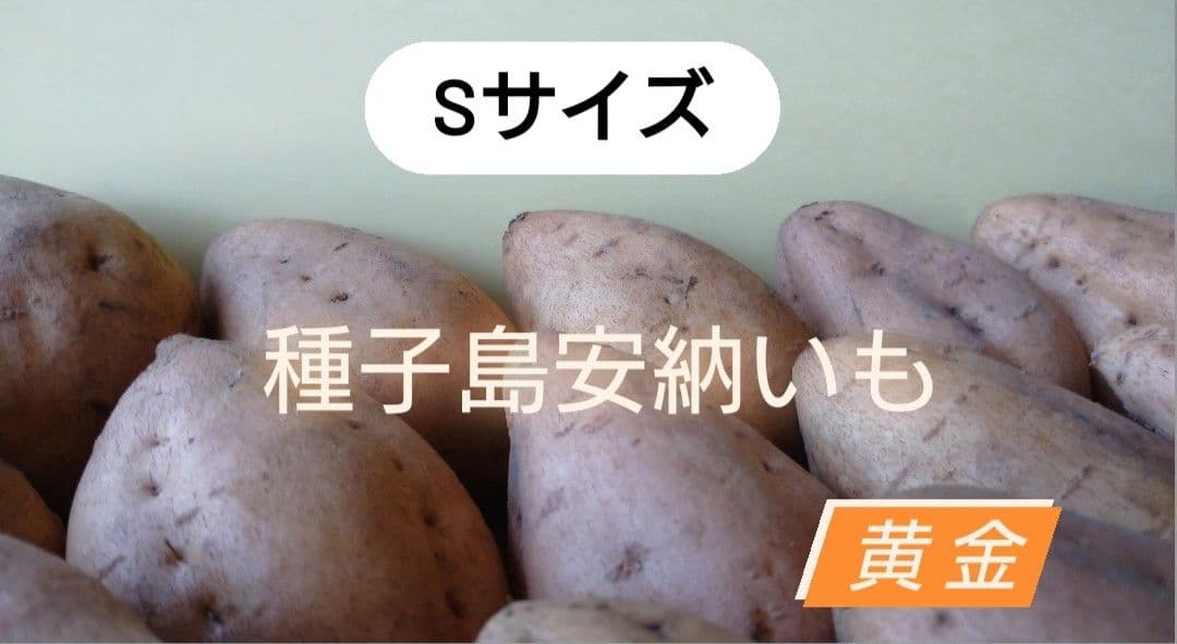 種子島安納いも Sサイズ 黄金 20kg