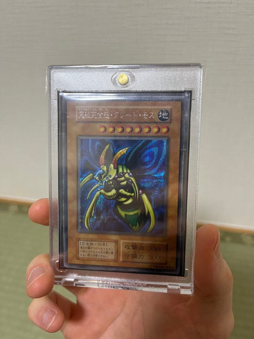 究極完全体グレートモス　初期