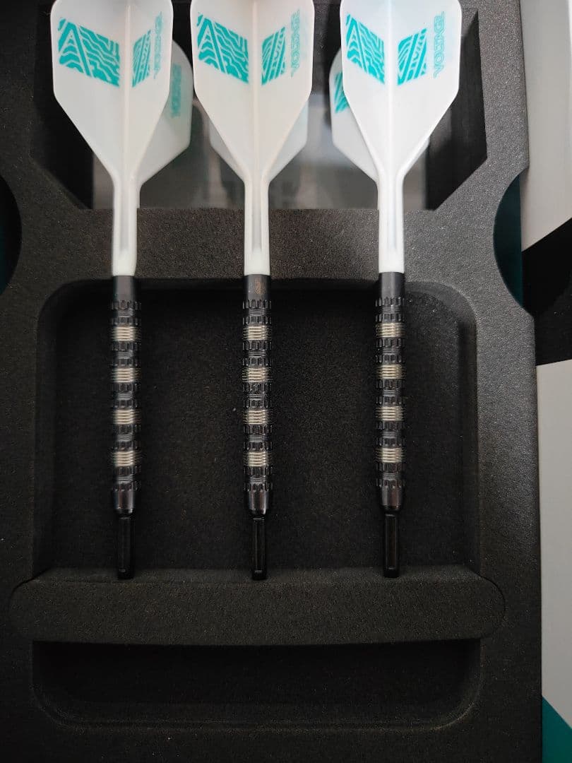 【特別値下げ】Target 95K ロブ・クロス　ダーツ　バレル