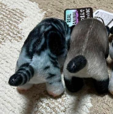 猫つまんでマスコットBC　猫　ぬいぐるみ　猫つまんで　マスコット　リアルアニマル