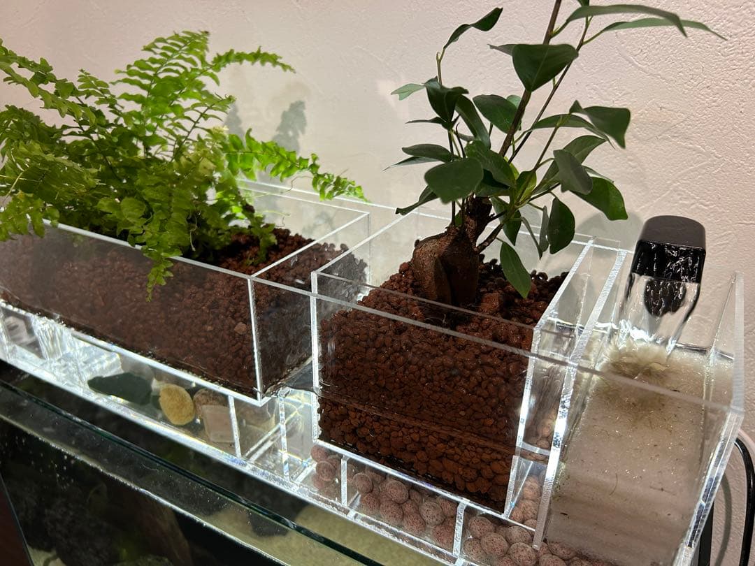 上部濾過式アクアポニックス水槽セット
