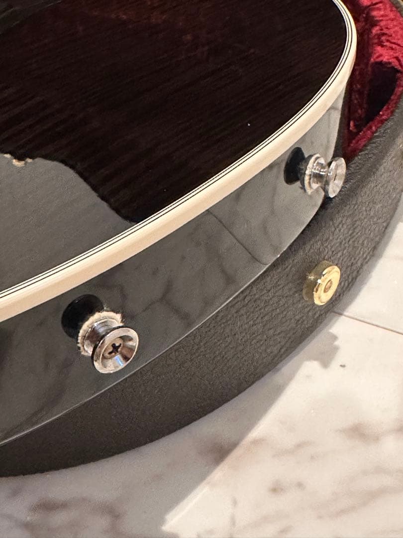 テイラーTaylor T5z Pro GAL