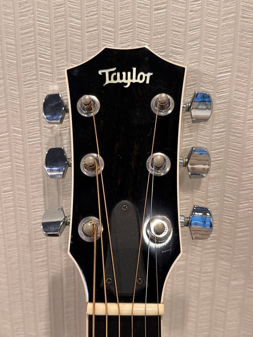 テイラーTaylor T5z Pro GAL