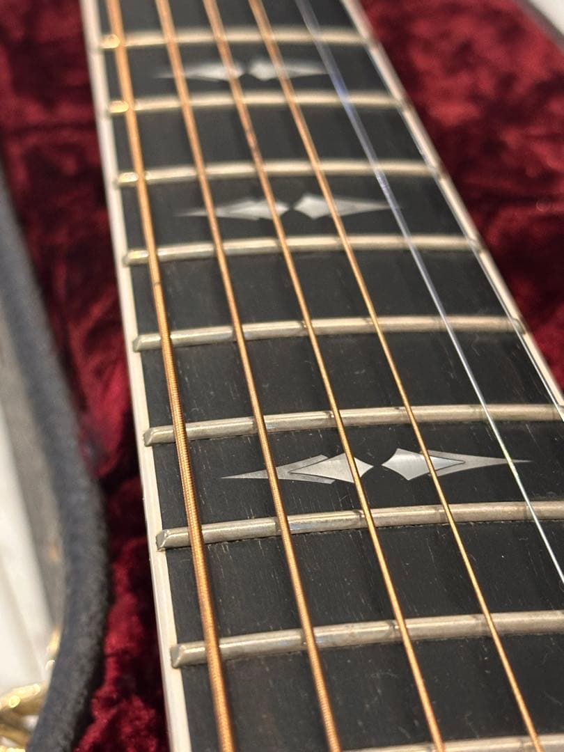 テイラーTaylor T5z Pro GAL