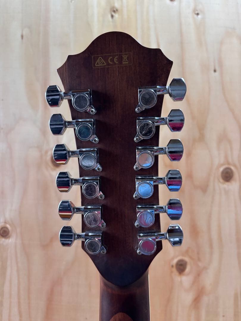 Ibanez オールマホガニー　トップ単板12弦 エレアコ　純正ギグケース付