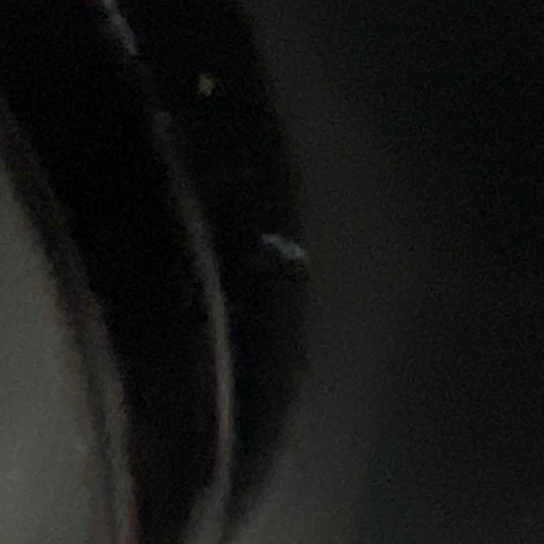 蒔絵師　田中煌又造　真塗四つ椀　５客　煌又（幸衍) 作者共箱　茶事　初釜