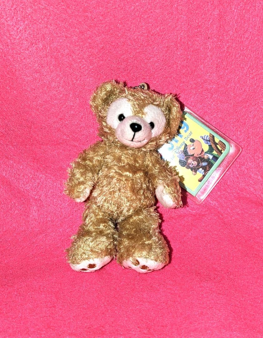 ♡美品♡ディズニー♡ミッキー＆ミニー♡ぬいぐるみマスコット＆ぬいぐるみピンバッジ