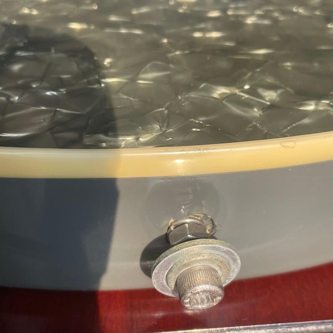 Daisy Rock（デイジーロック）　エレキギター