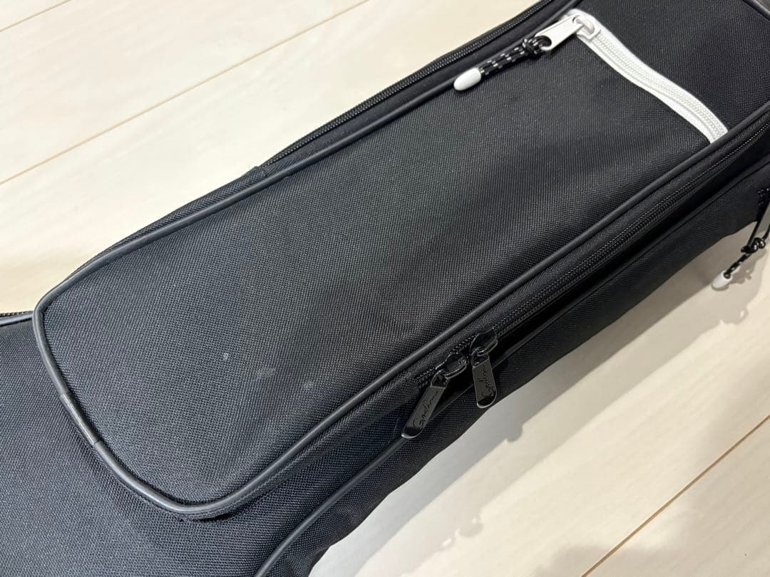 ギター Godin Guitars A6 ULTRA Natural SG