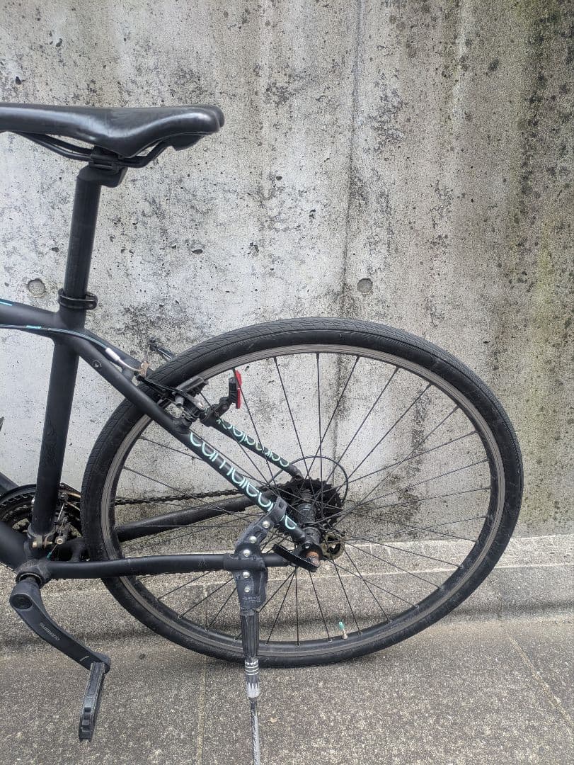 Bianchi　Cameleonte1 2018ブラック