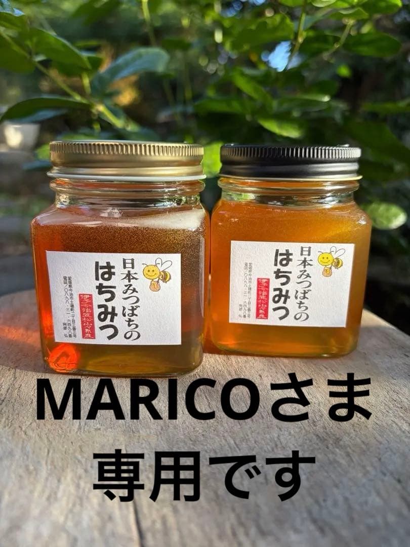 ハチミツ　日本蜜蜂の蜂蜜　奥山の奥のはちみつ　巣箱違い谷違いのハチミツ４種