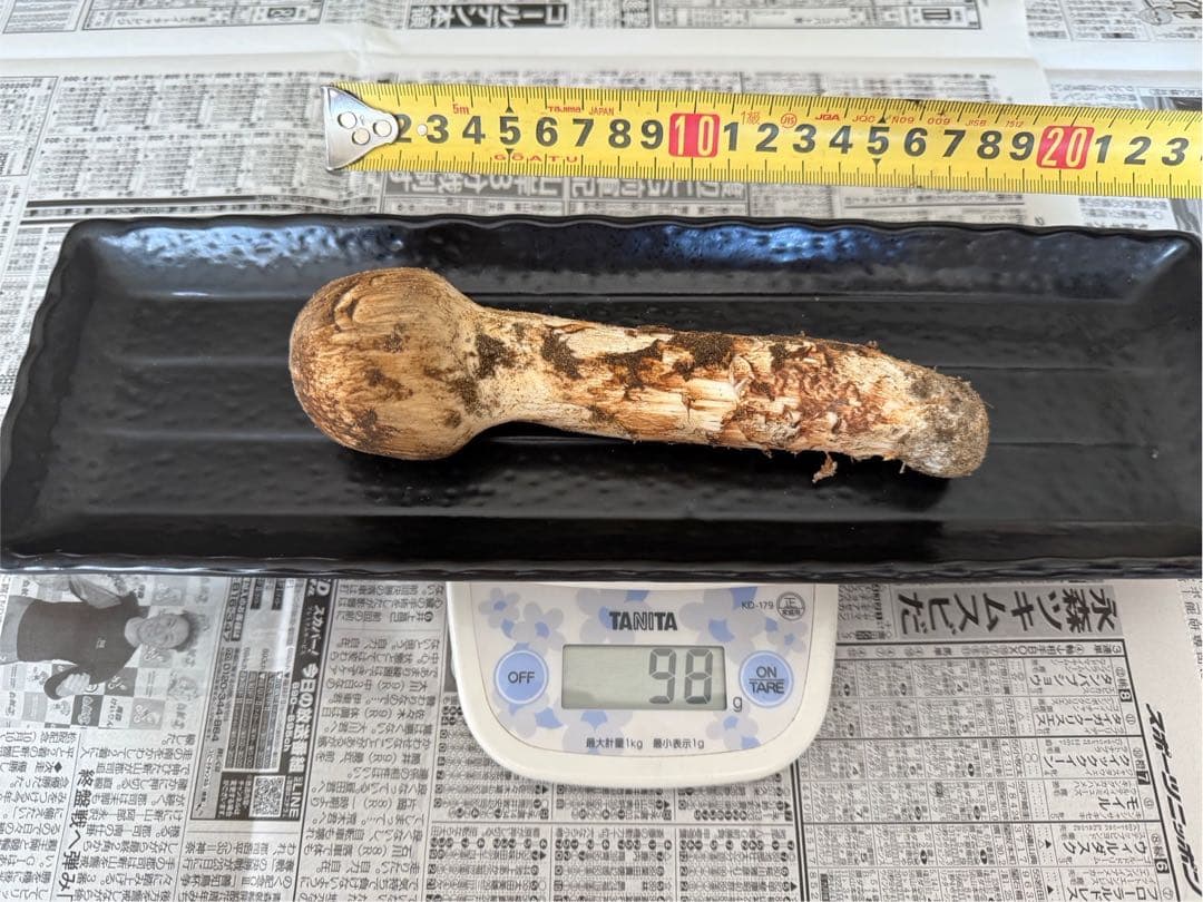 松茸　北海道　500g 送料込み