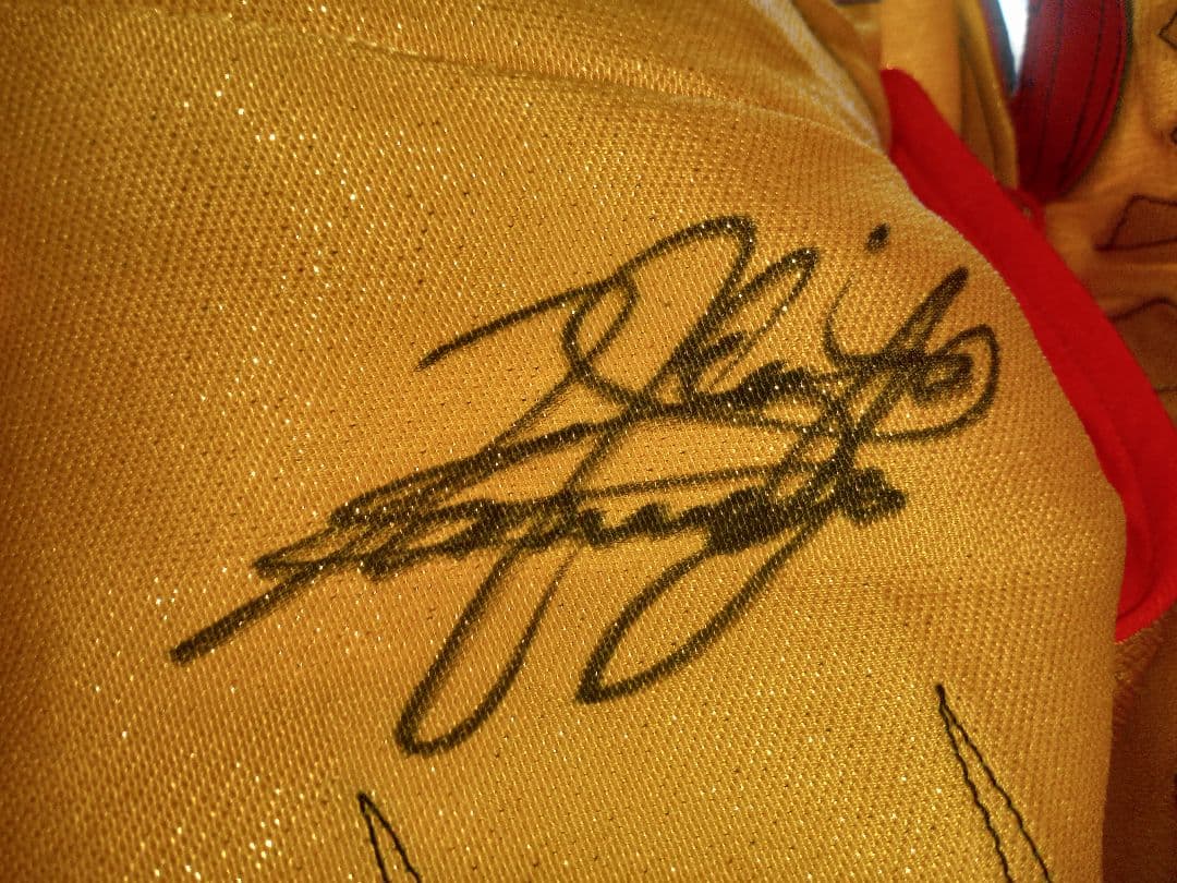 ト*ー様 値下げ！タイガーマスク試合用マスク (伝説)3代目タイガー・金本浩二サ