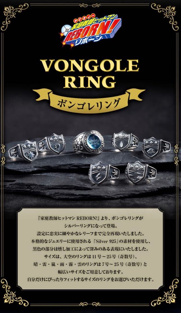 v*i様 プレバン限定 家庭教師ヒットマンREBORN ボンゴレリング コンプセ