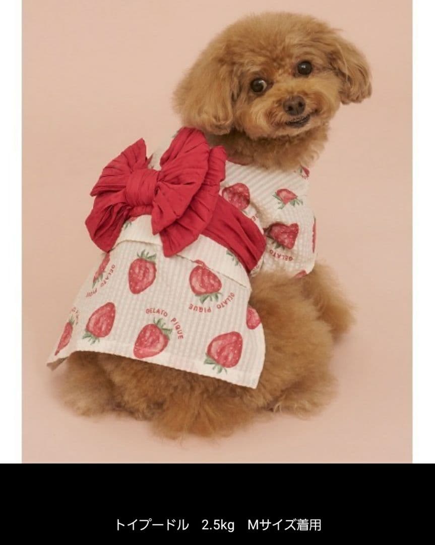 ジェラピケ 浴衣 苺 くま CAT&DOG リメイク済 ２着セット 犬 猫 撮影