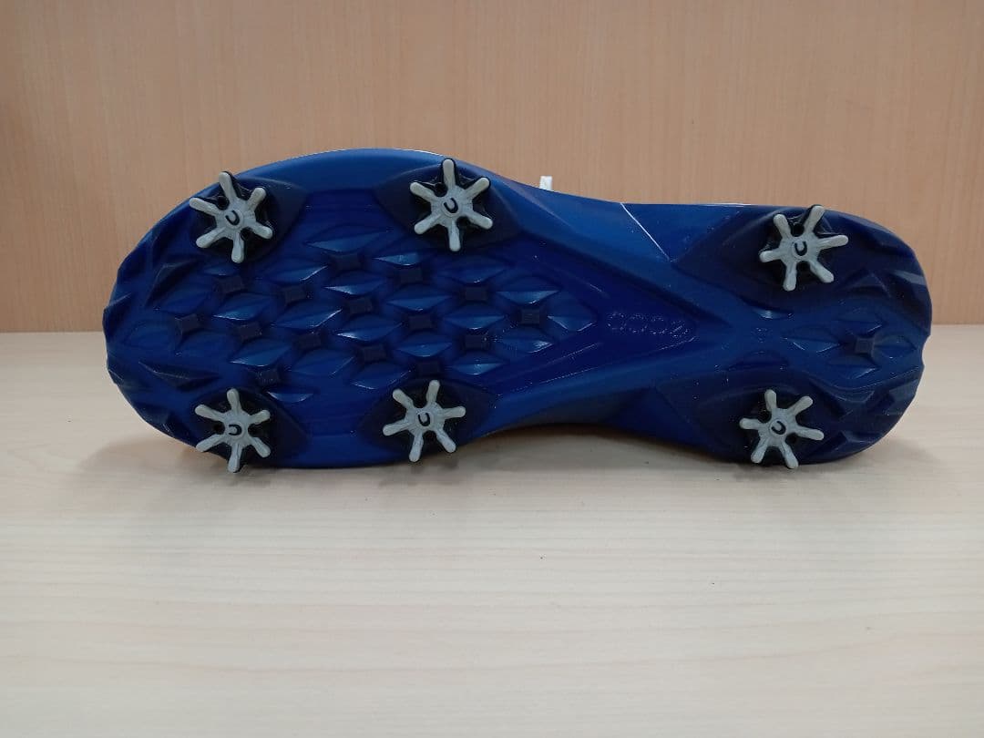 ECCO GOLF メンズ ゴルフシューズ 40サイズ