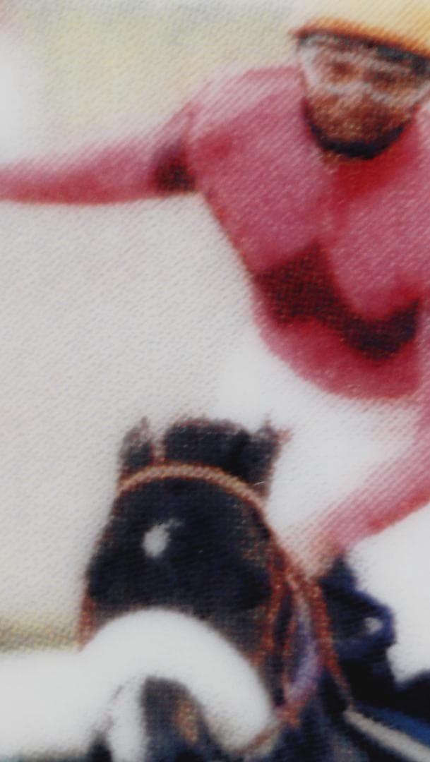 ナリタブライアン 陶器 早田牧場　有馬記念