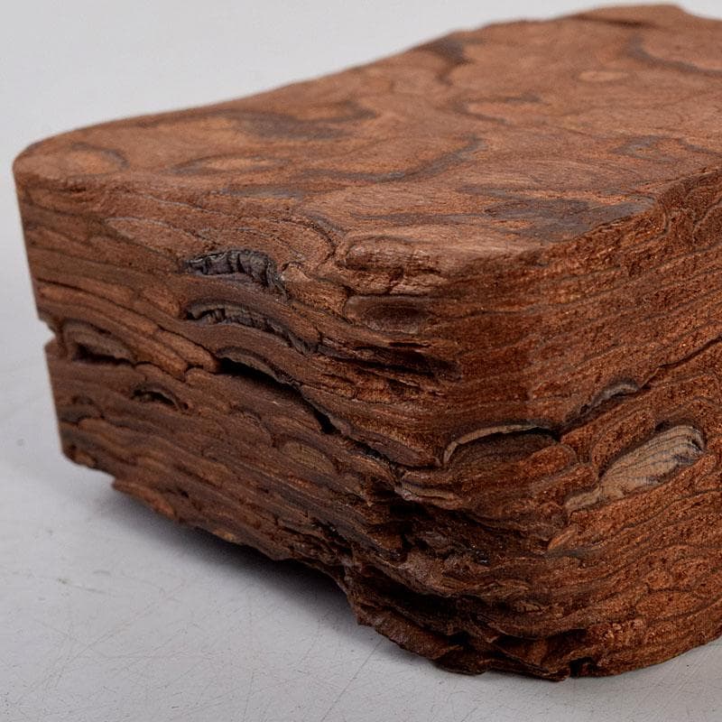 茶道具　松皮香合　表千家 十二代 宗左（惺斎）花押　共箱　V　8834