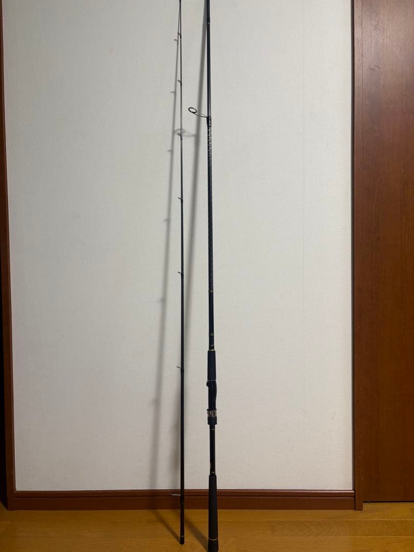 ロッド Daiwa SEABASS HUNTER X 100MH