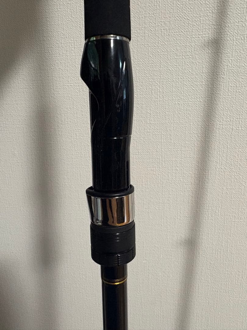 ロッド Daiwa SEABASS HUNTER X 100MH