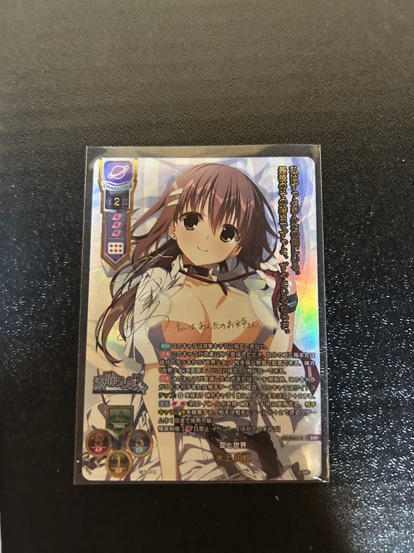 Lycee/リセ/Ver.ケロQ・枕1.0/SSP/空と世界 水上 由岐￼