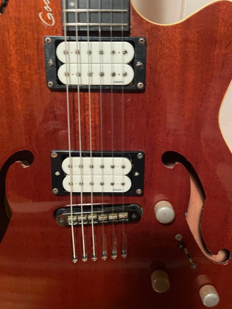 godin セミアコ　ゴダン　ギター　アコギ　dimarzio