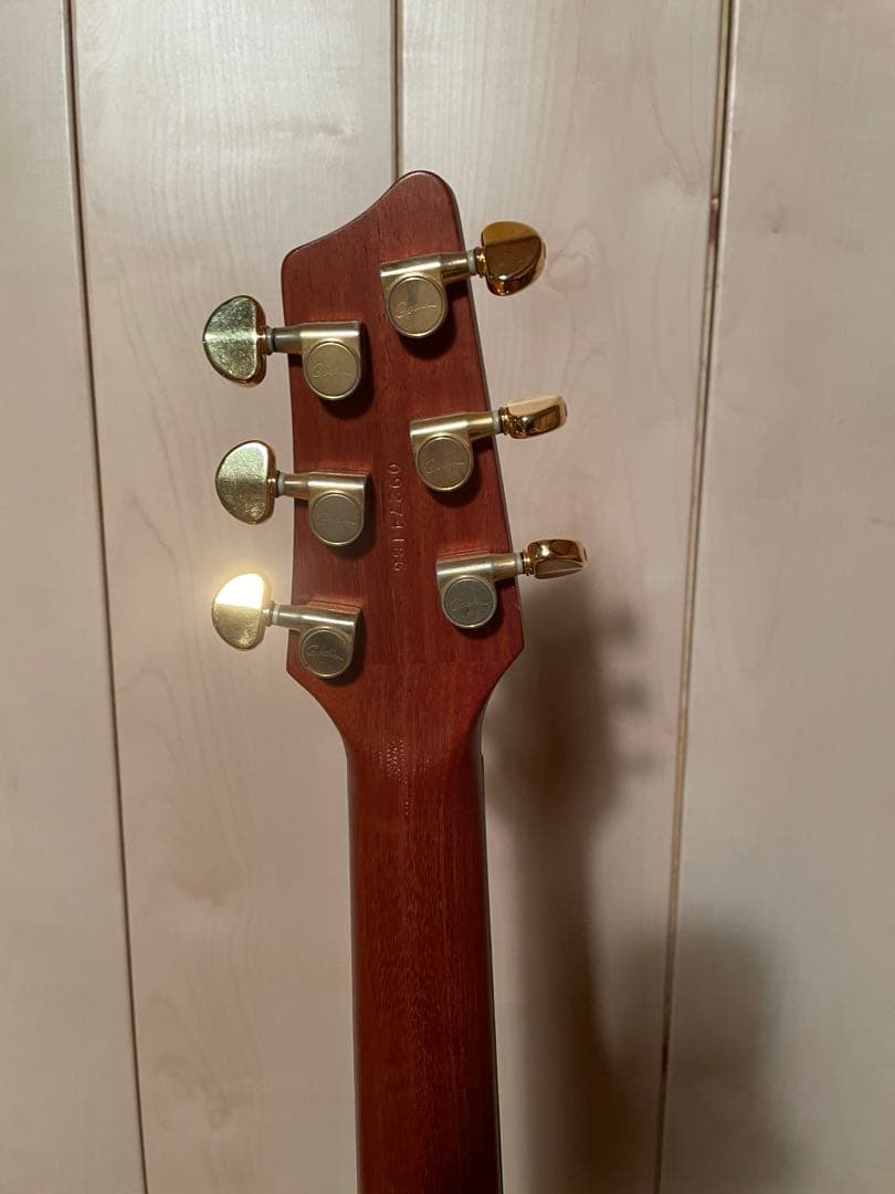 godin セミアコ　ゴダン　ギター　アコギ　dimarzio